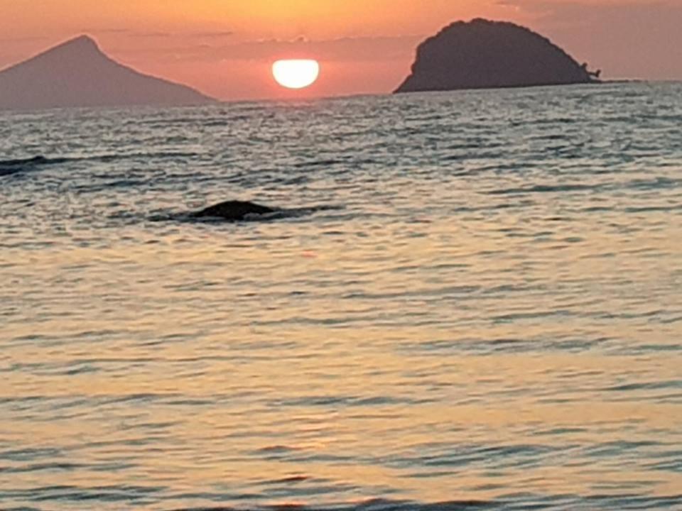 Pousada Morada Das Ilhas Boicucanga Luaran gambar